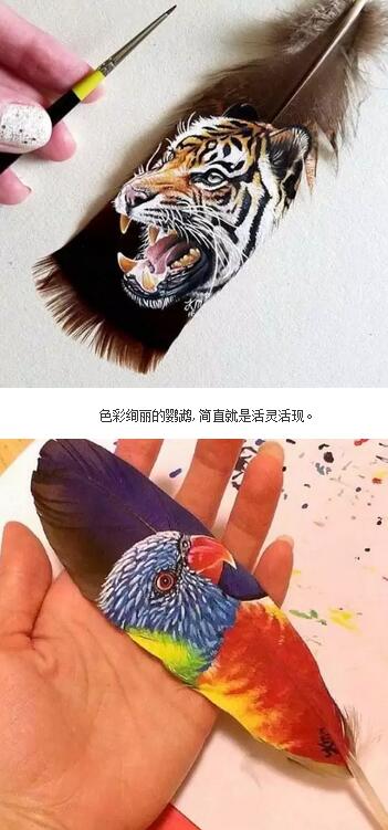 QQ截圖20160823120244.jpg